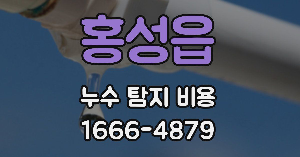 홍성읍 누수 탐지 비용