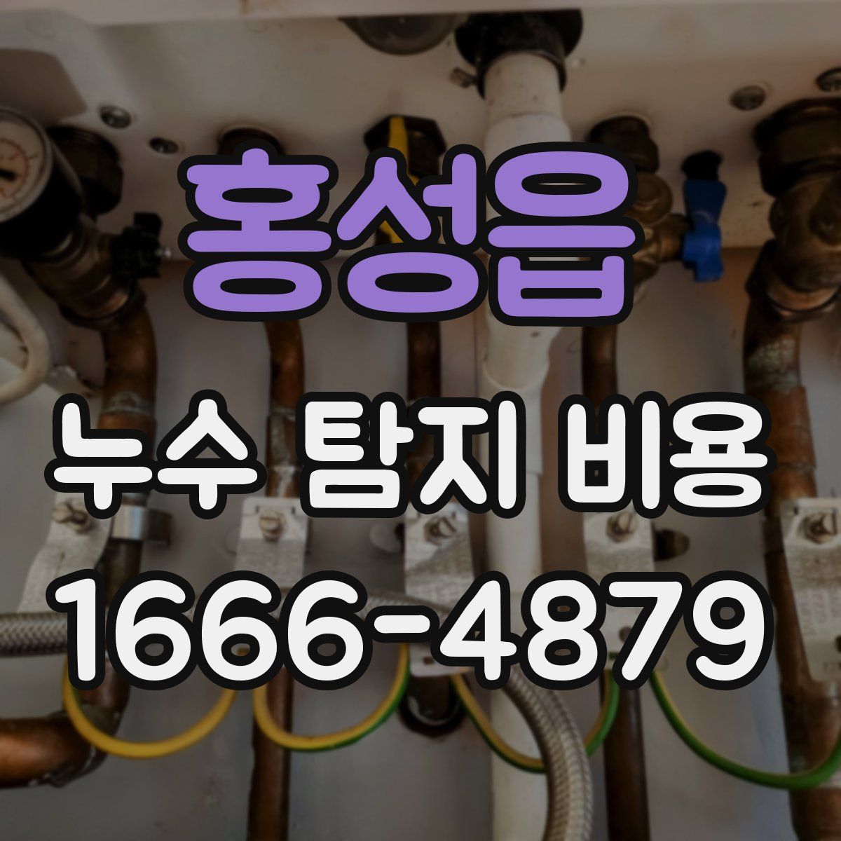 홍성읍 누수 탐지 비용