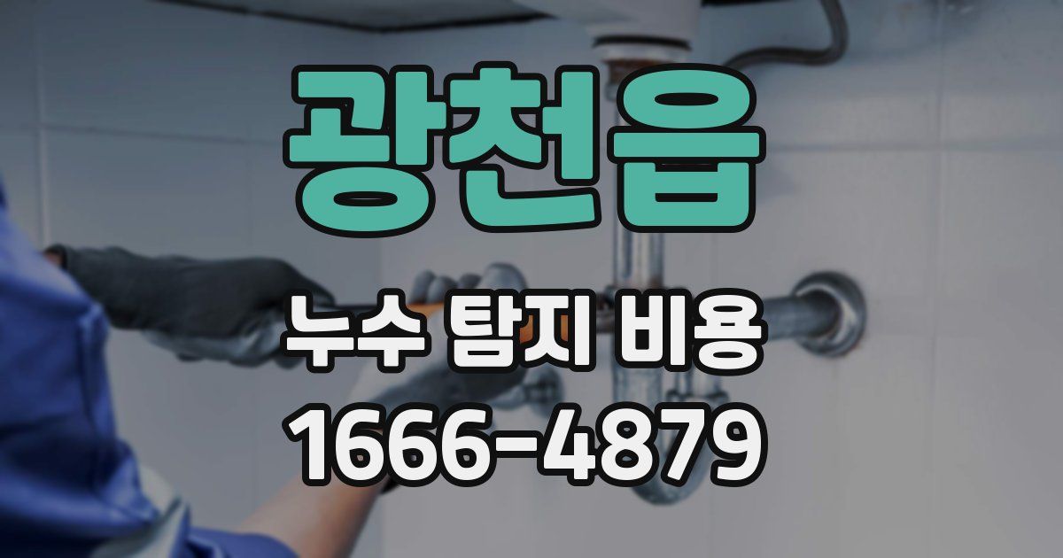 광천읍 누수 탐지 비용