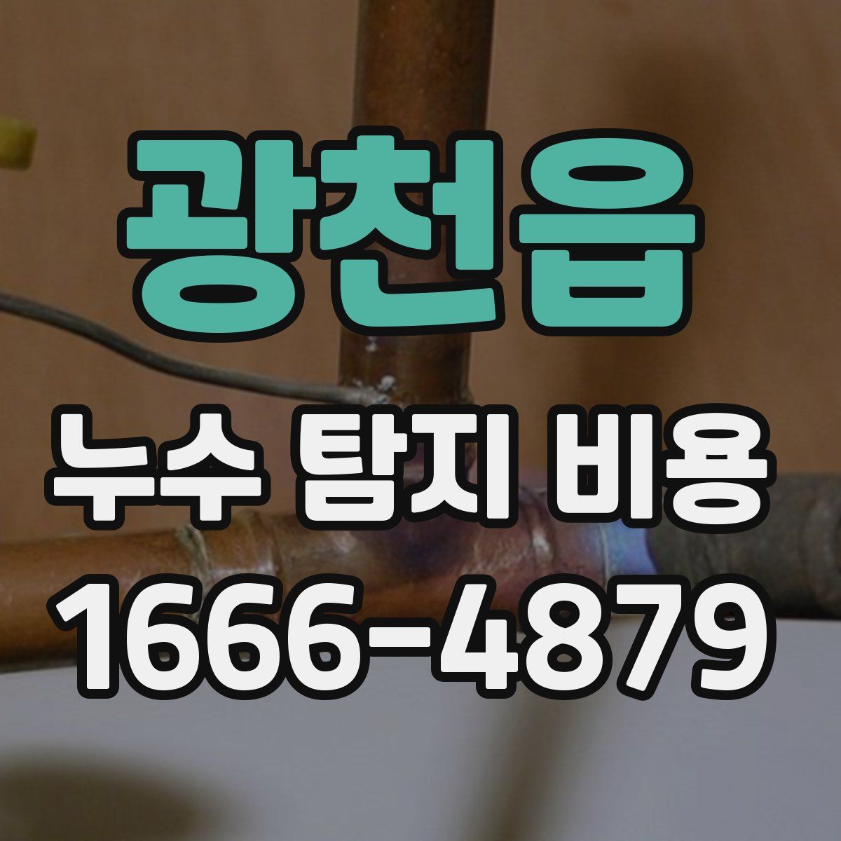 광천읍 누수 탐지 비용