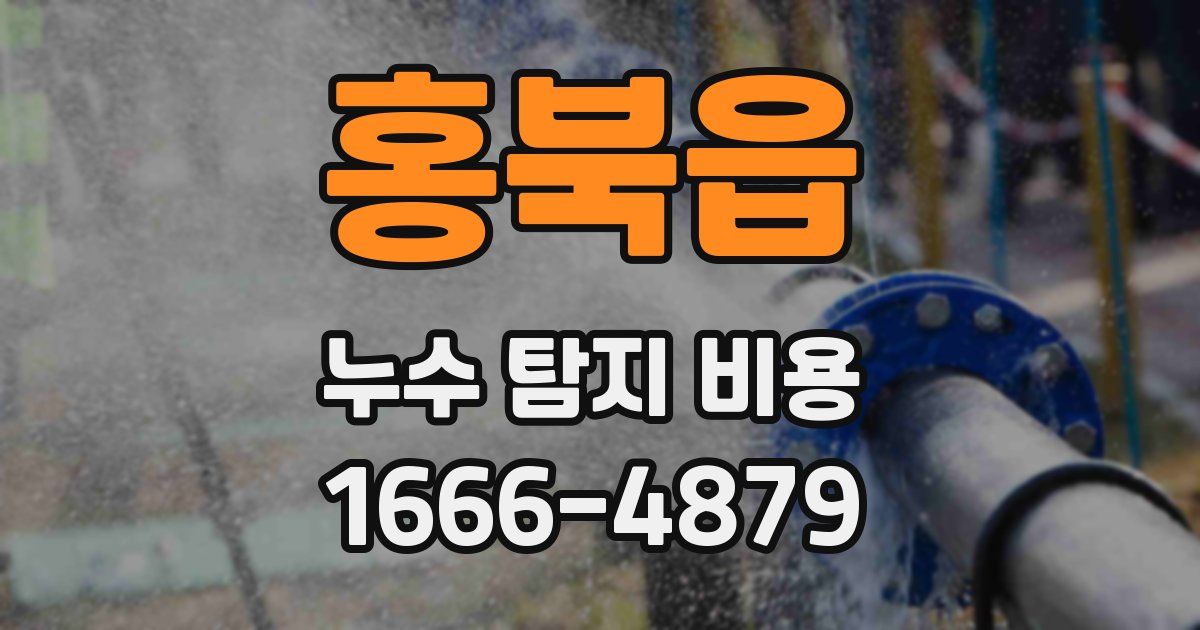 홍북읍 누수 탐지 비용
