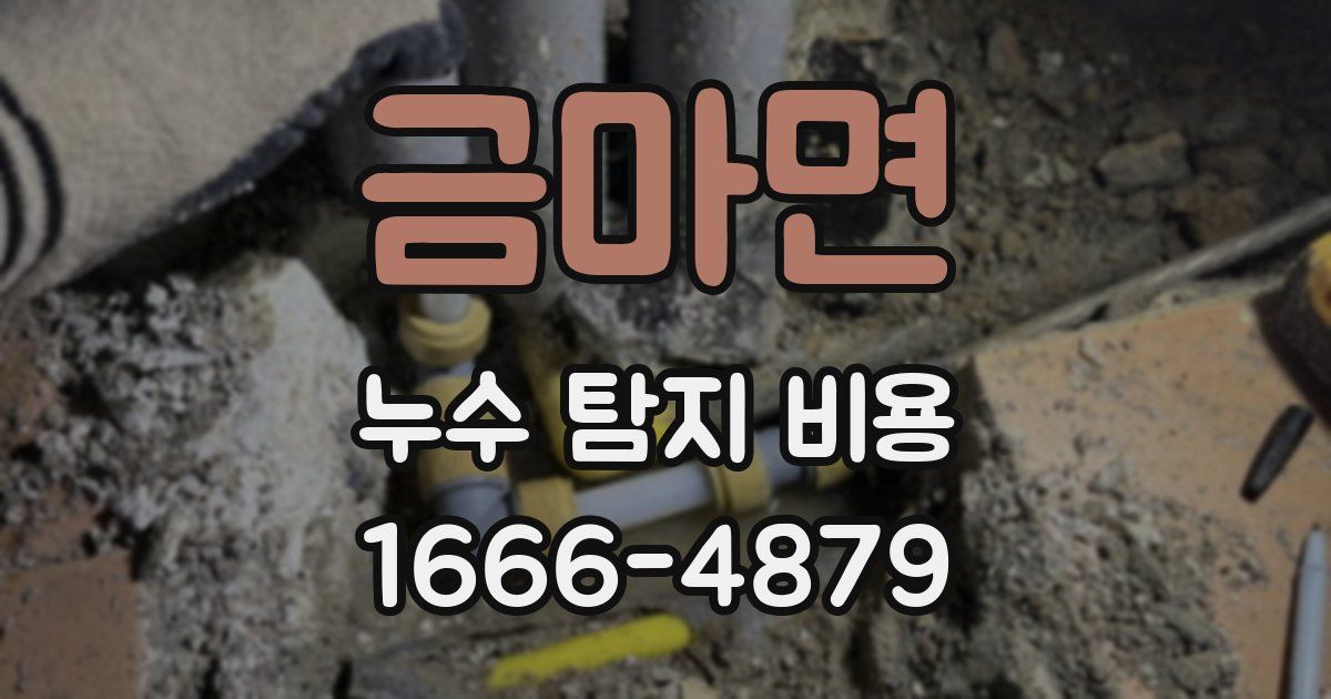 금마면 누수 탐지 비용