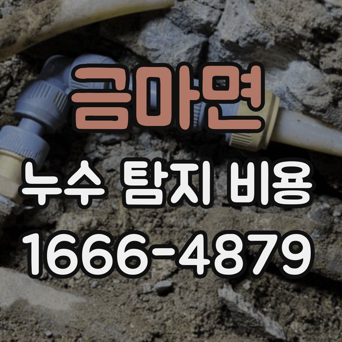 금마면 누수 탐지 비용