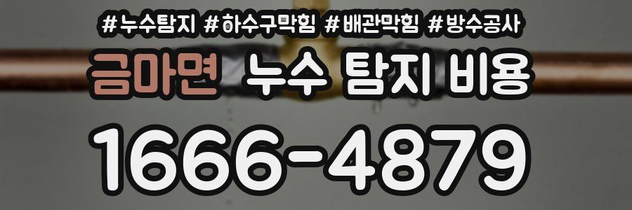 금마면 누수 탐지 비용