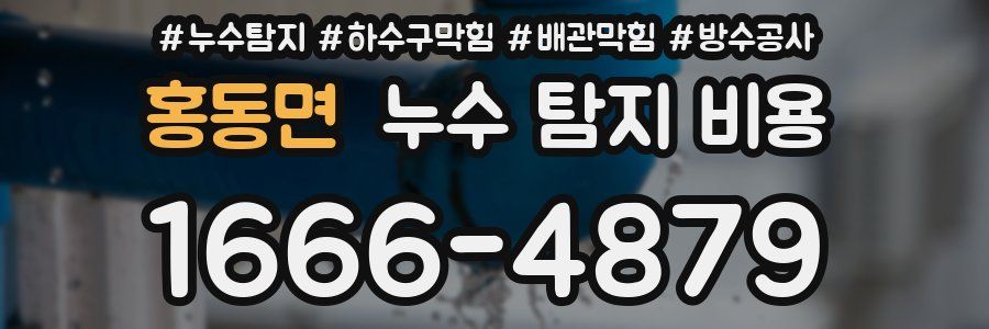 홍동면 누수 탐지 비용