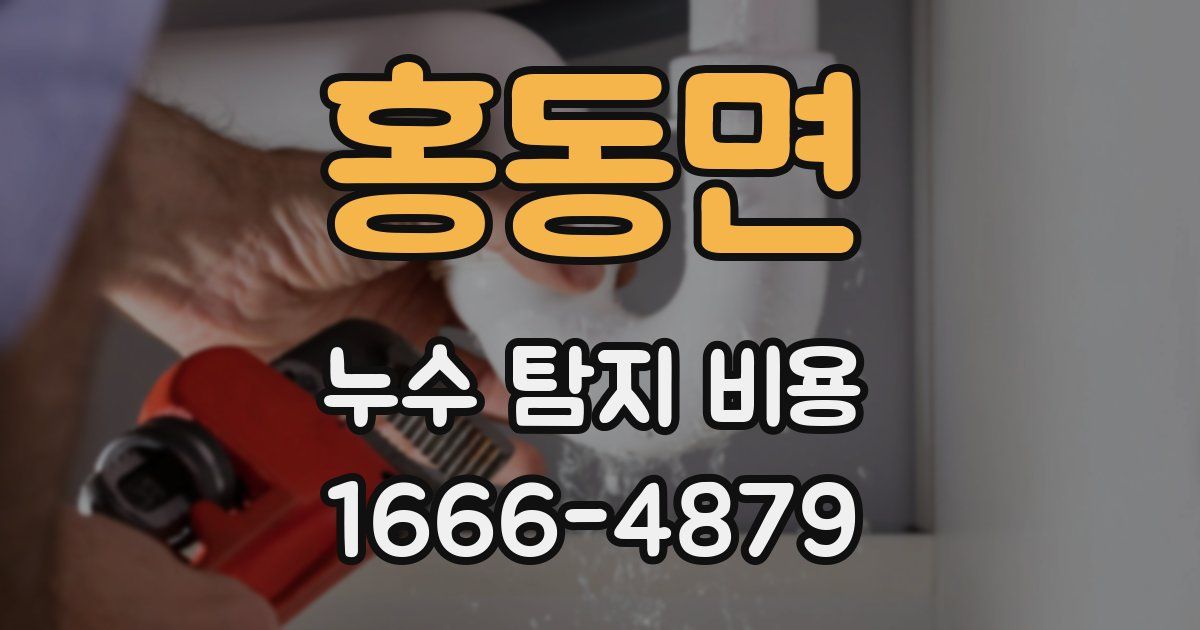 홍동면 누수 탐지 비용