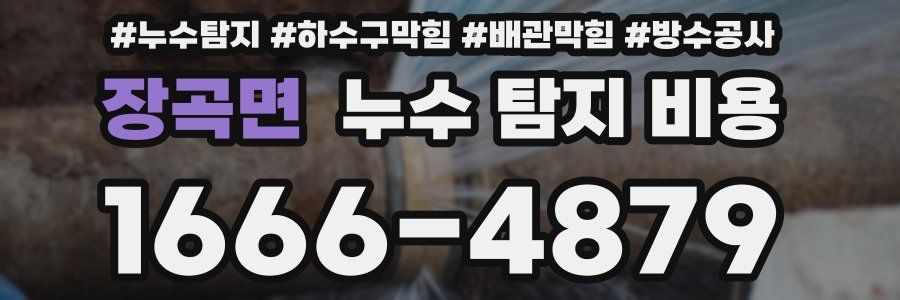 장곡면 누수 탐지 비용
