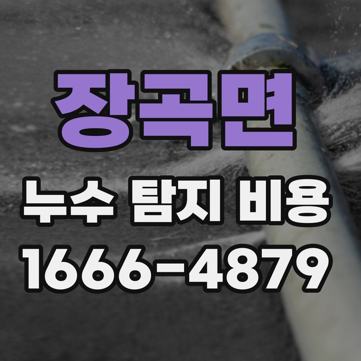 장곡면 누수 탐지 비용