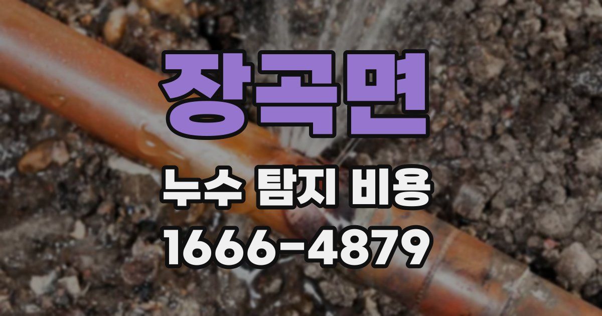 장곡면 누수 탐지 비용