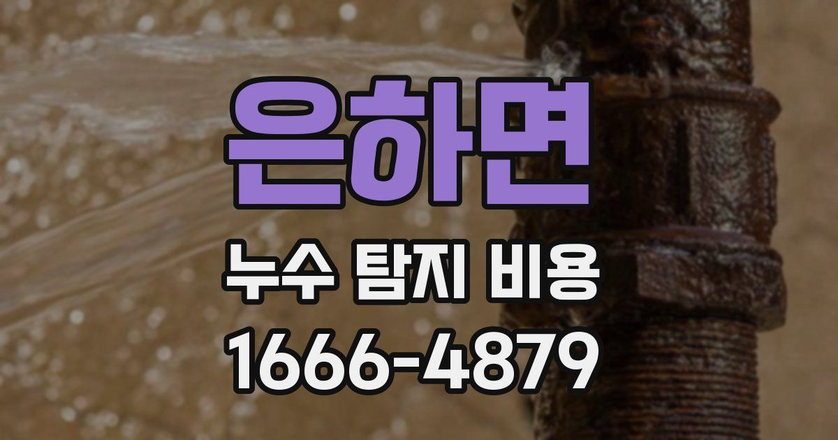 은하면 누수 탐지 비용