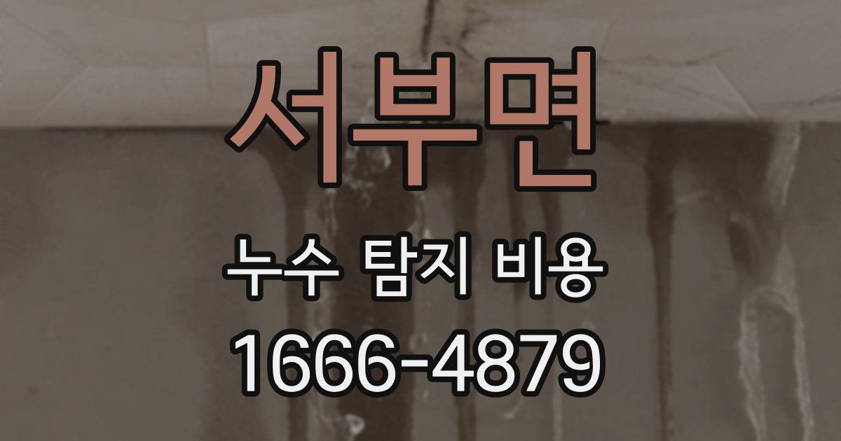 서부면 누수 탐지 비용