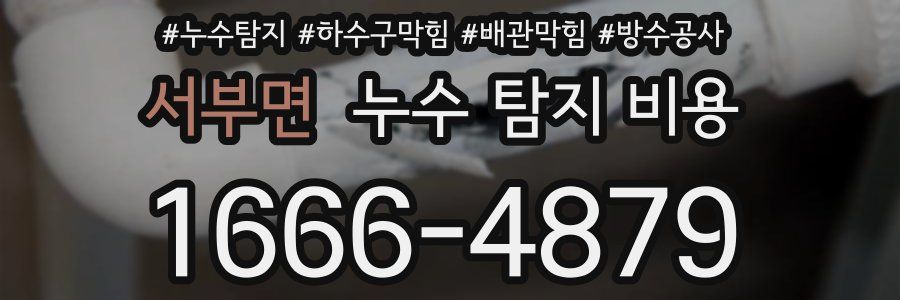 서부면 누수 탐지 비용