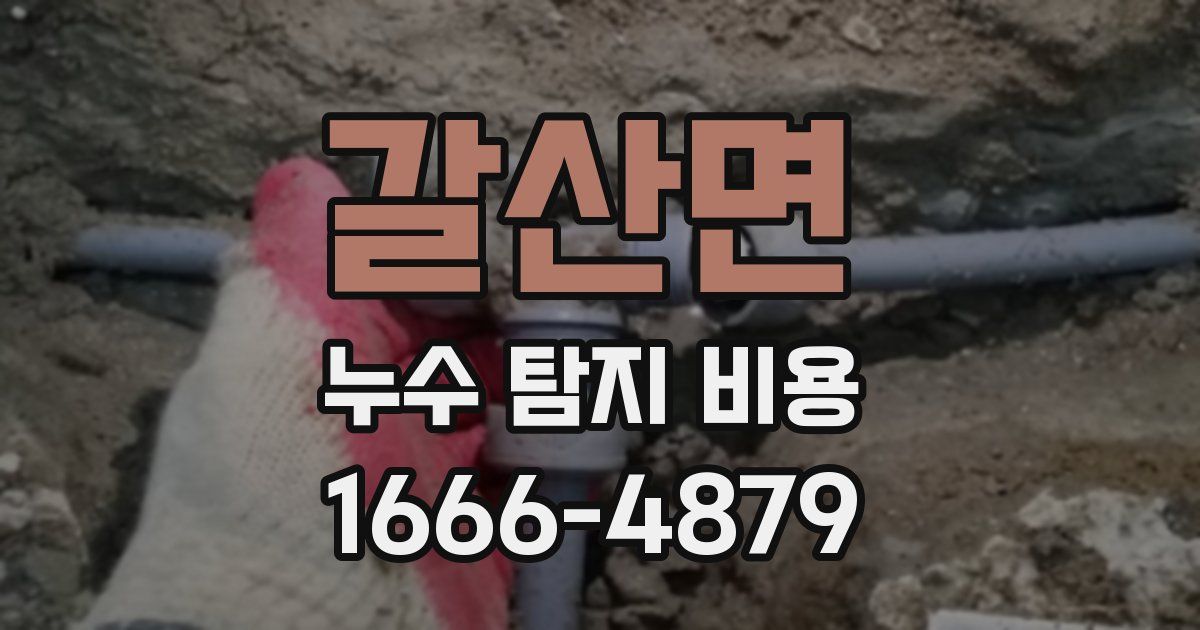 갈산면 누수 탐지 비용
