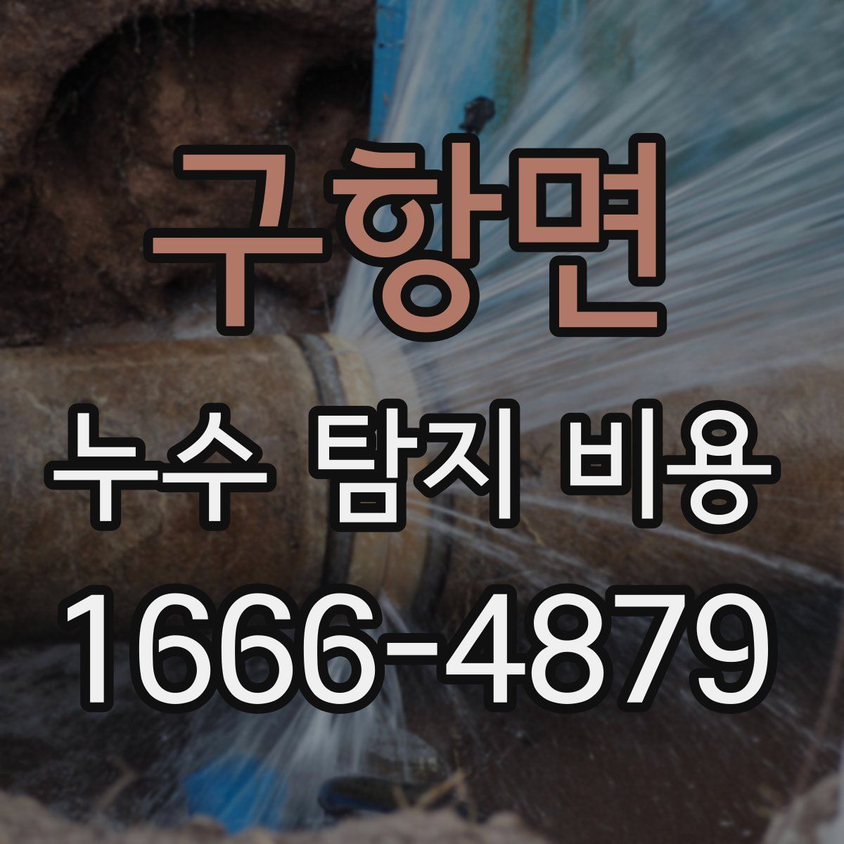 구항면 누수 탐지 비용