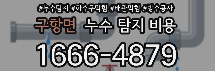 구항면 누수 탐지 비용