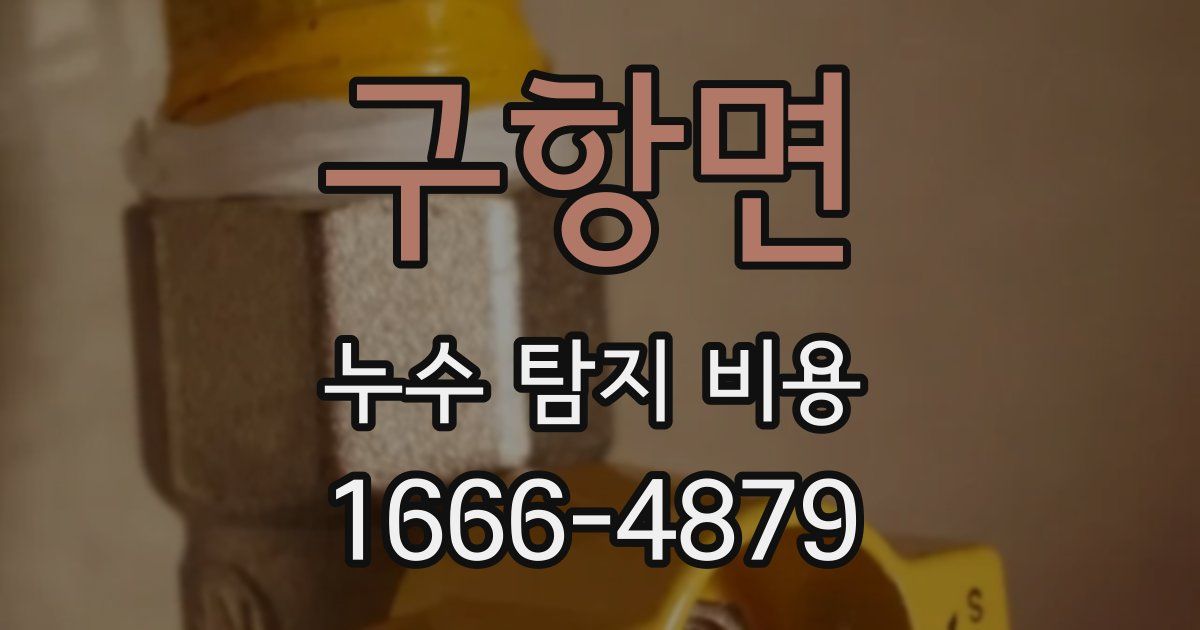 구항면 누수 탐지 비용