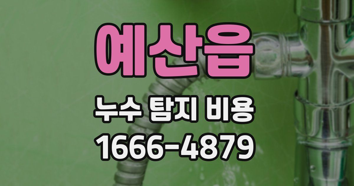 예산읍 누수 탐지 비용