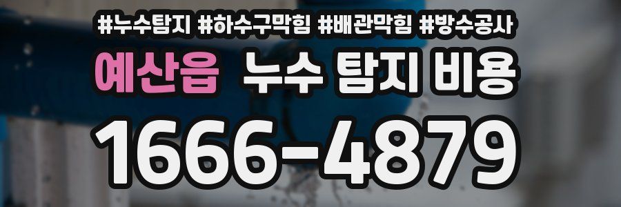예산읍 누수 탐지 비용