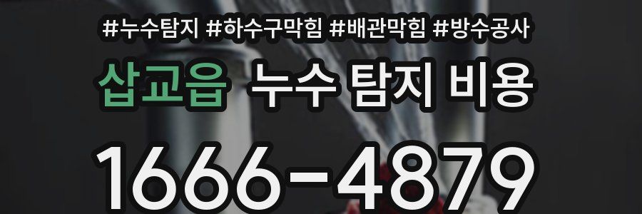 삽교읍 누수 탐지 비용
