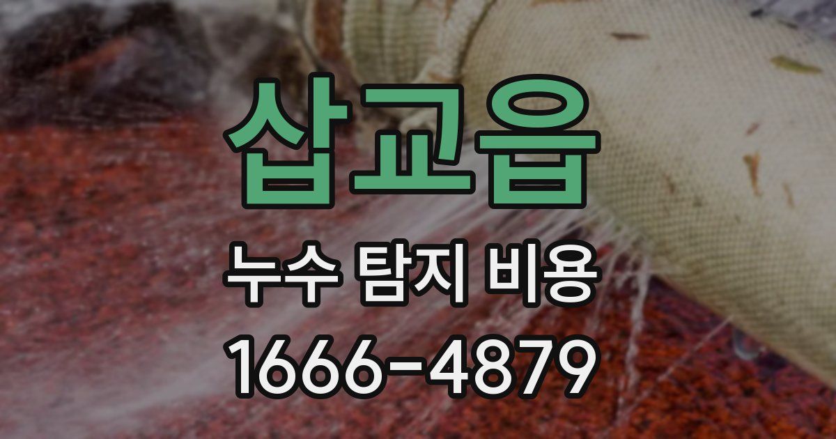 삽교읍 누수 탐지 비용