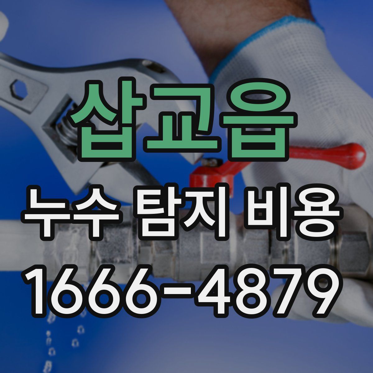 삽교읍 누수 탐지 비용