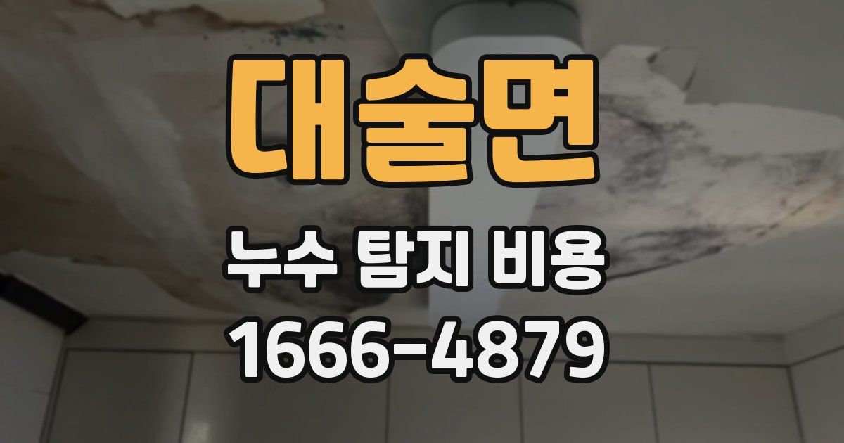 대술면 누수 탐지 비용