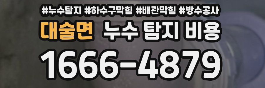 대술면 누수 탐지 비용
