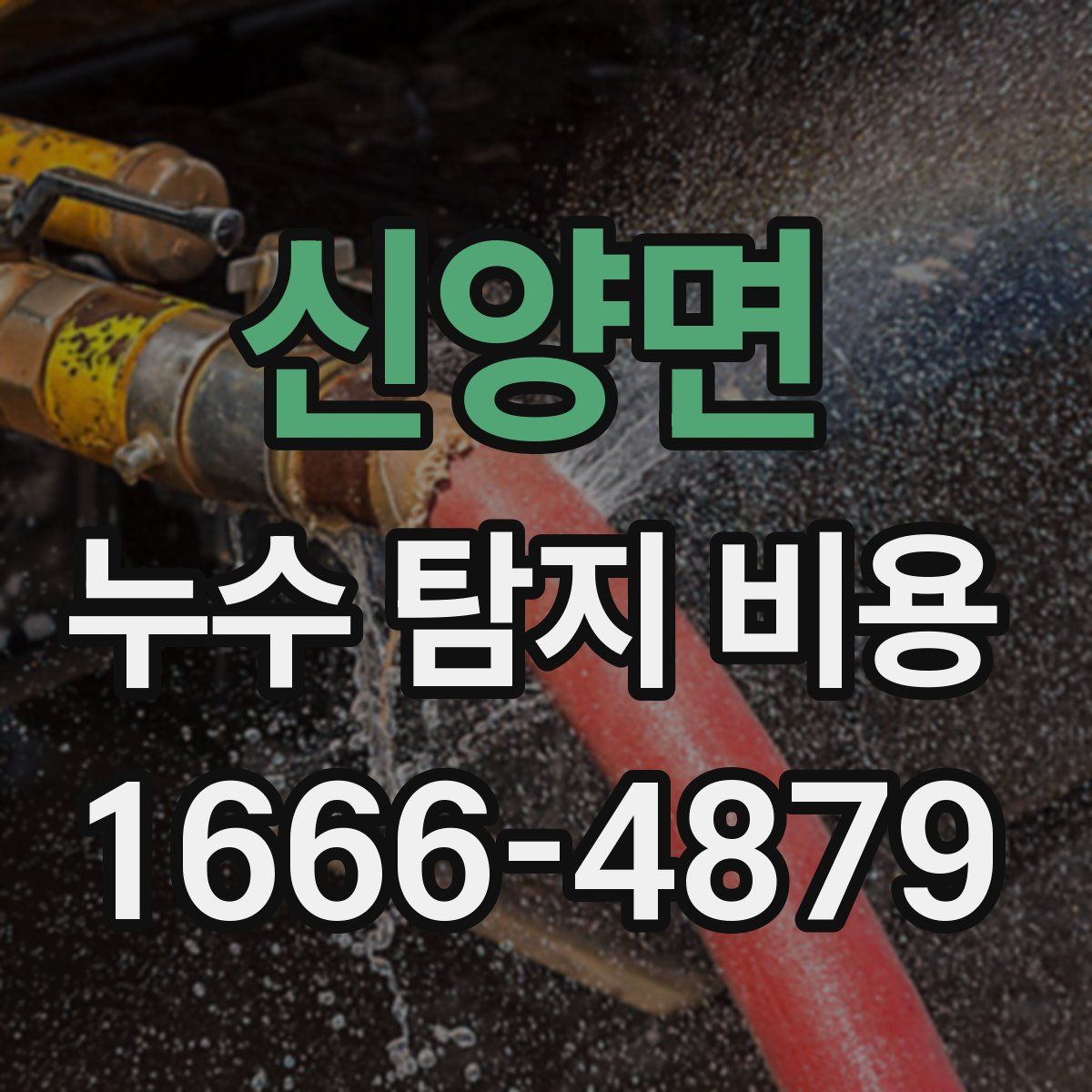 신양면 누수 탐지 비용