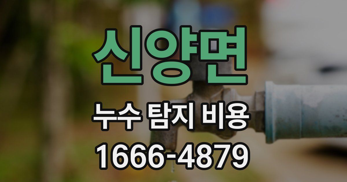신양면 누수 탐지 비용