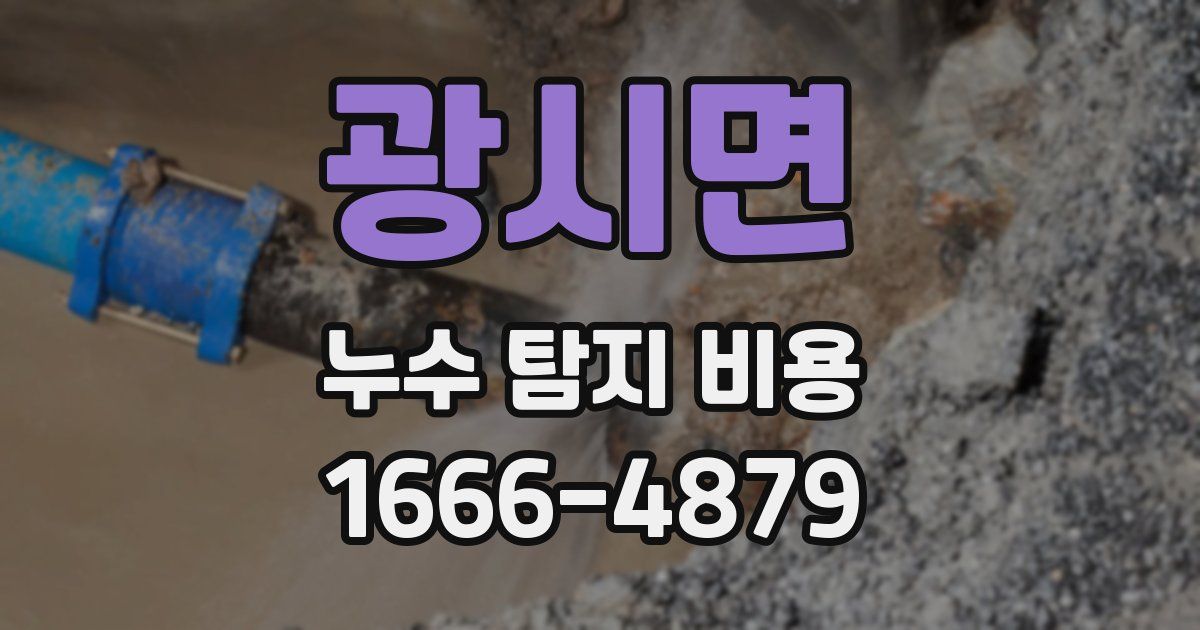 광시면 누수 탐지 비용