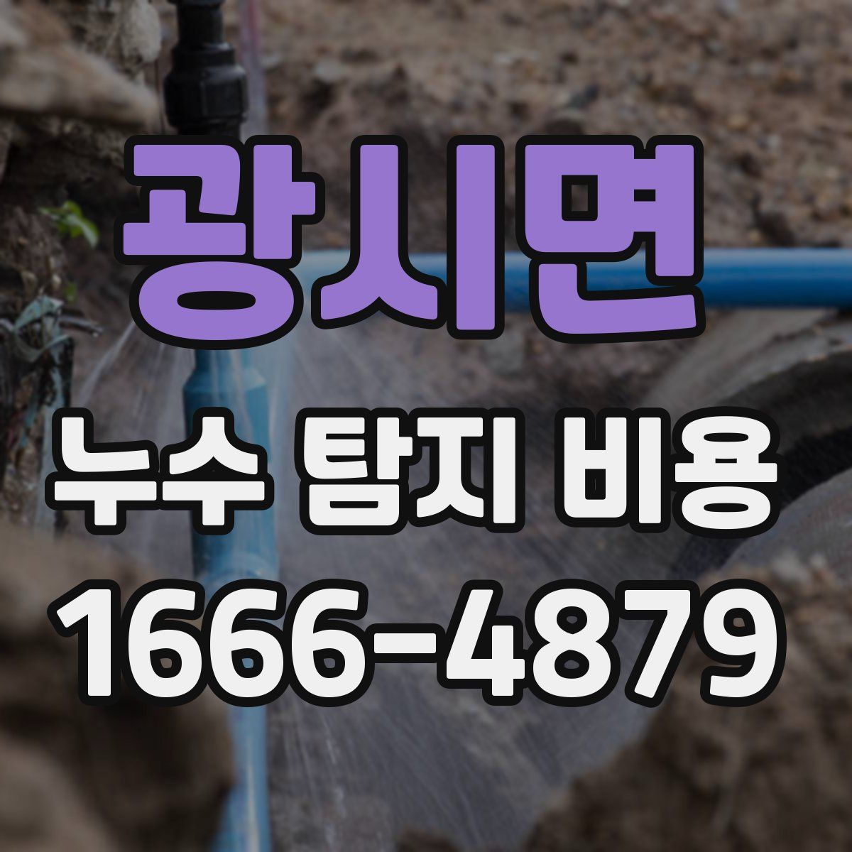광시면 누수 탐지 비용