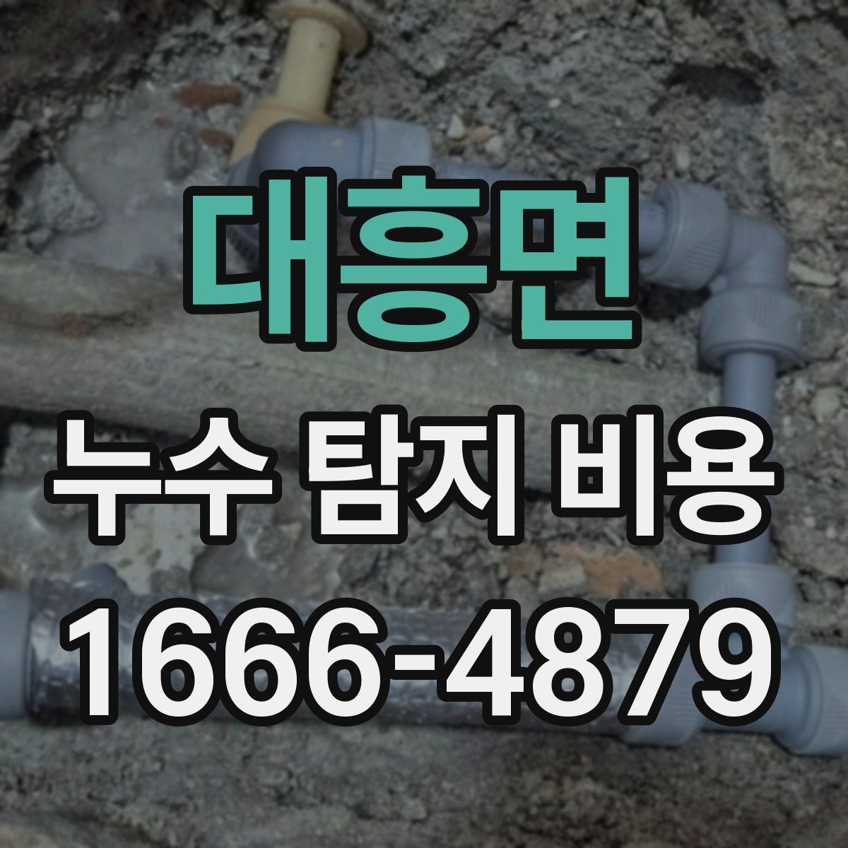대흥면 누수 탐지 비용