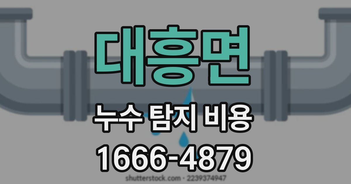 대흥면 누수 탐지 비용