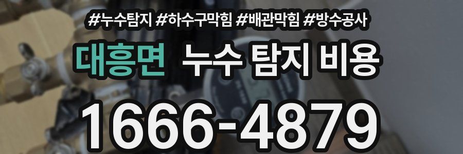 대흥면 누수 탐지 비용