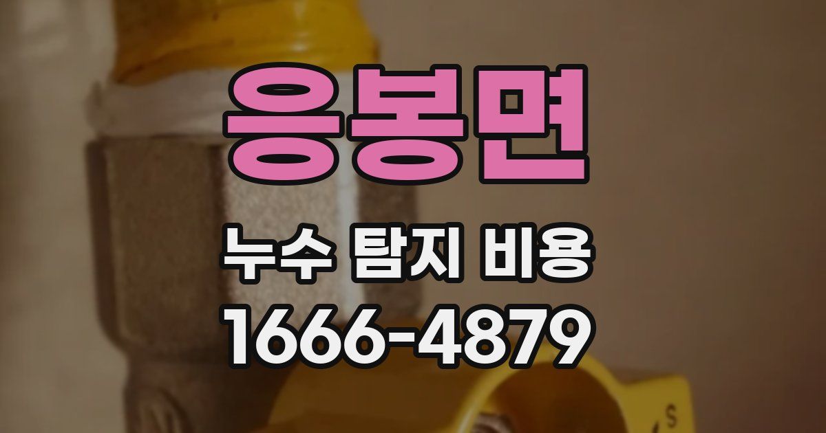 응봉면 누수 탐지 비용