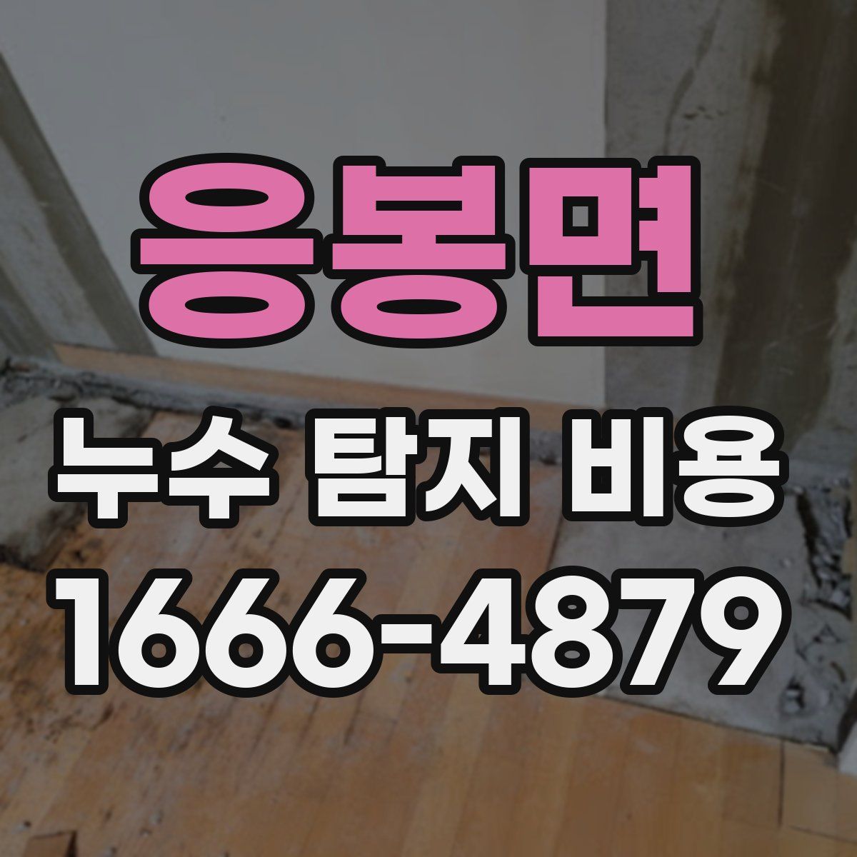 응봉면 누수 탐지 비용