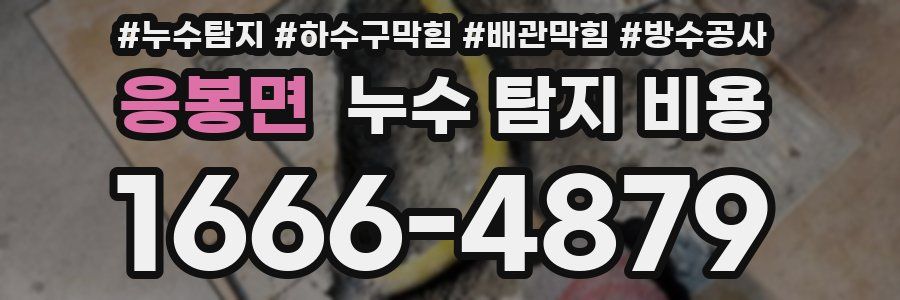 응봉면 누수 탐지 비용