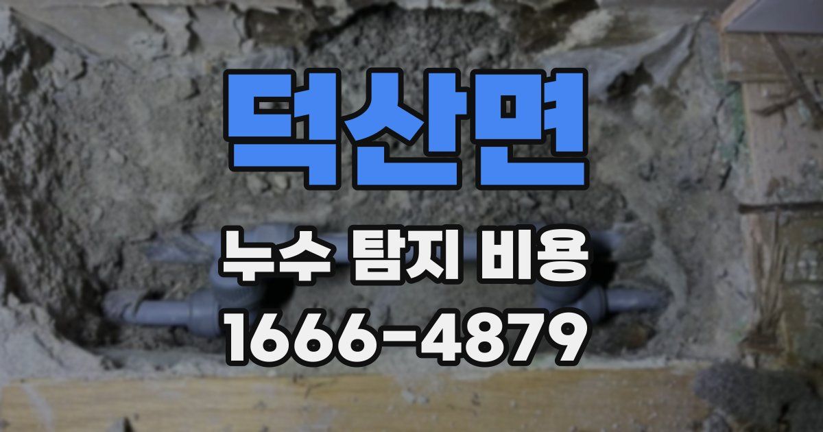 덕산면 누수 탐지 비용