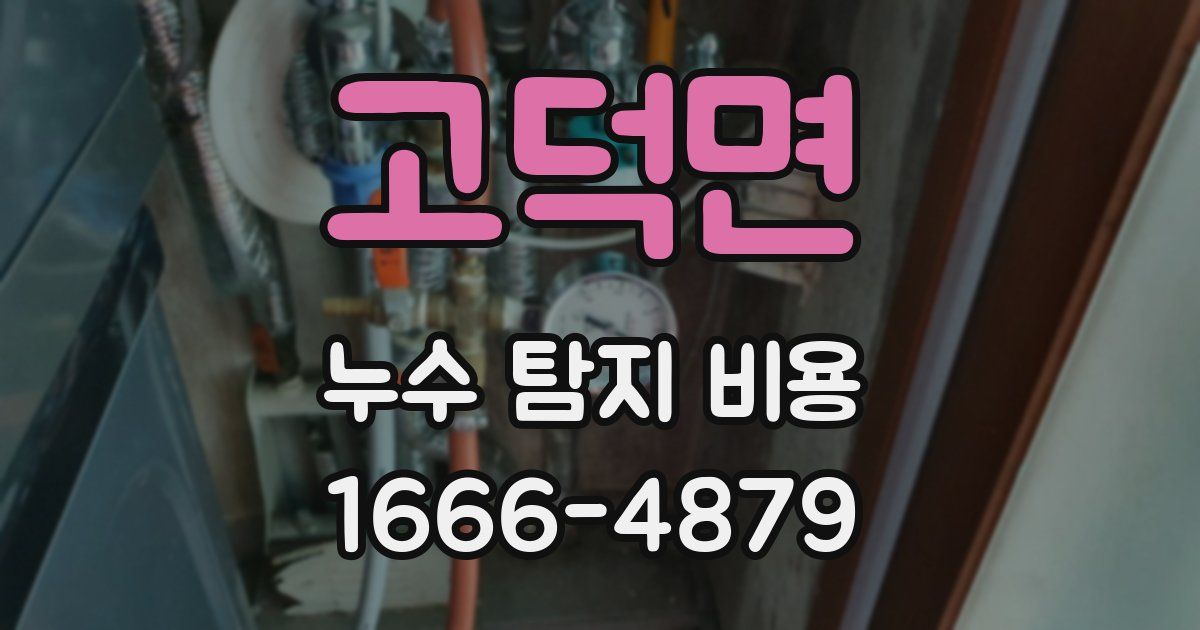 고덕면 누수 탐지 비용
