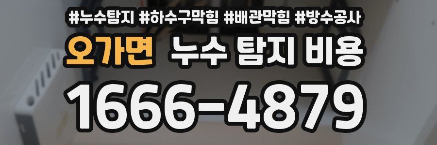 오가면 누수 탐지 비용