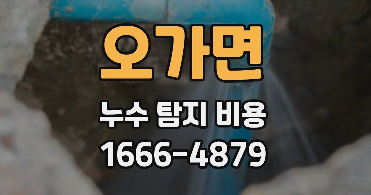 오가면 누수 탐지 비용