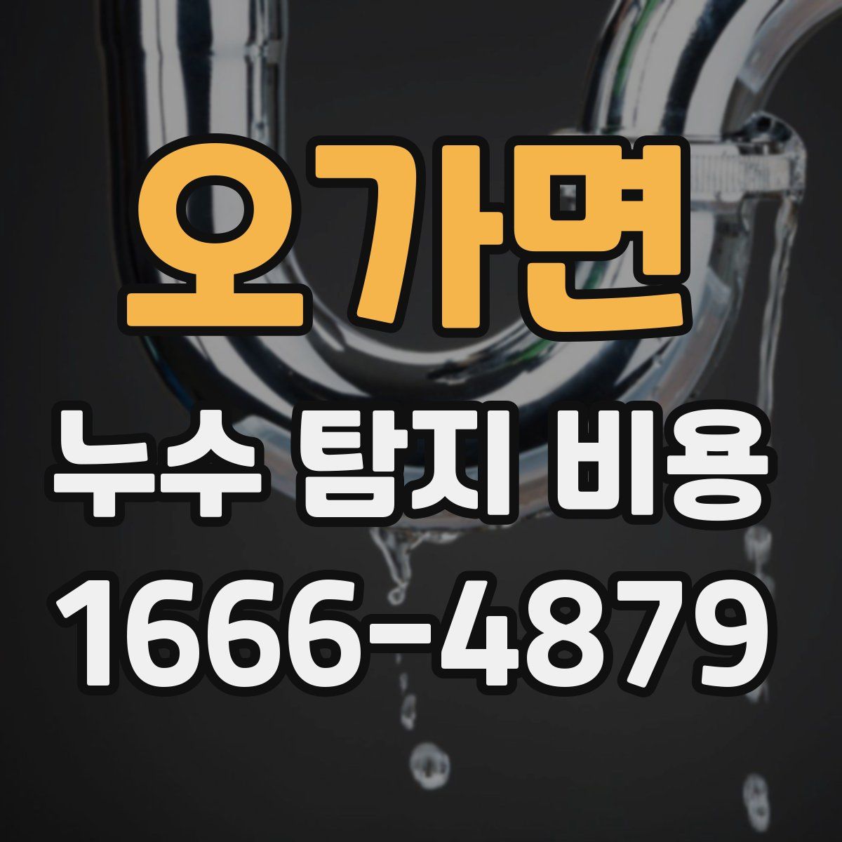 오가면 누수 탐지 비용