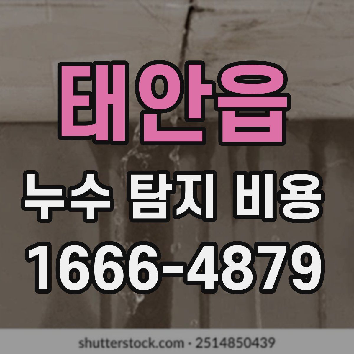 태안읍 누수 탐지 비용