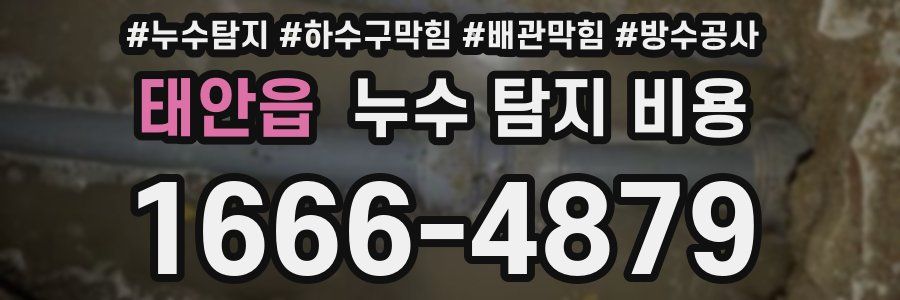 태안읍 누수 탐지 비용