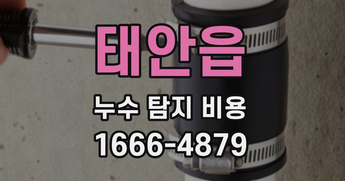 태안읍 누수 탐지 비용