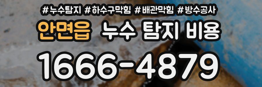 안면읍 누수 탐지 비용