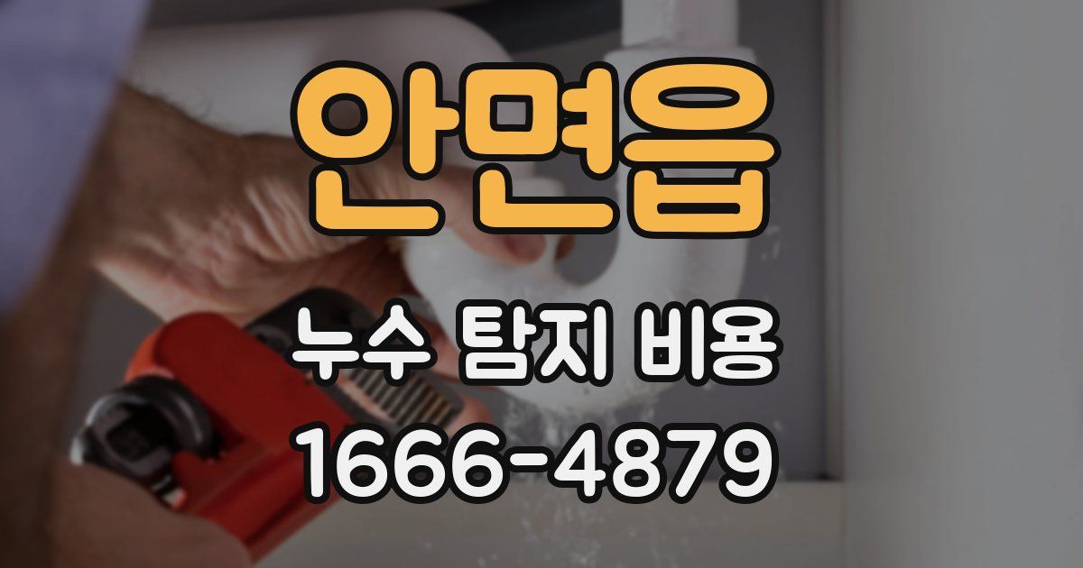 안면읍 누수 탐지 비용