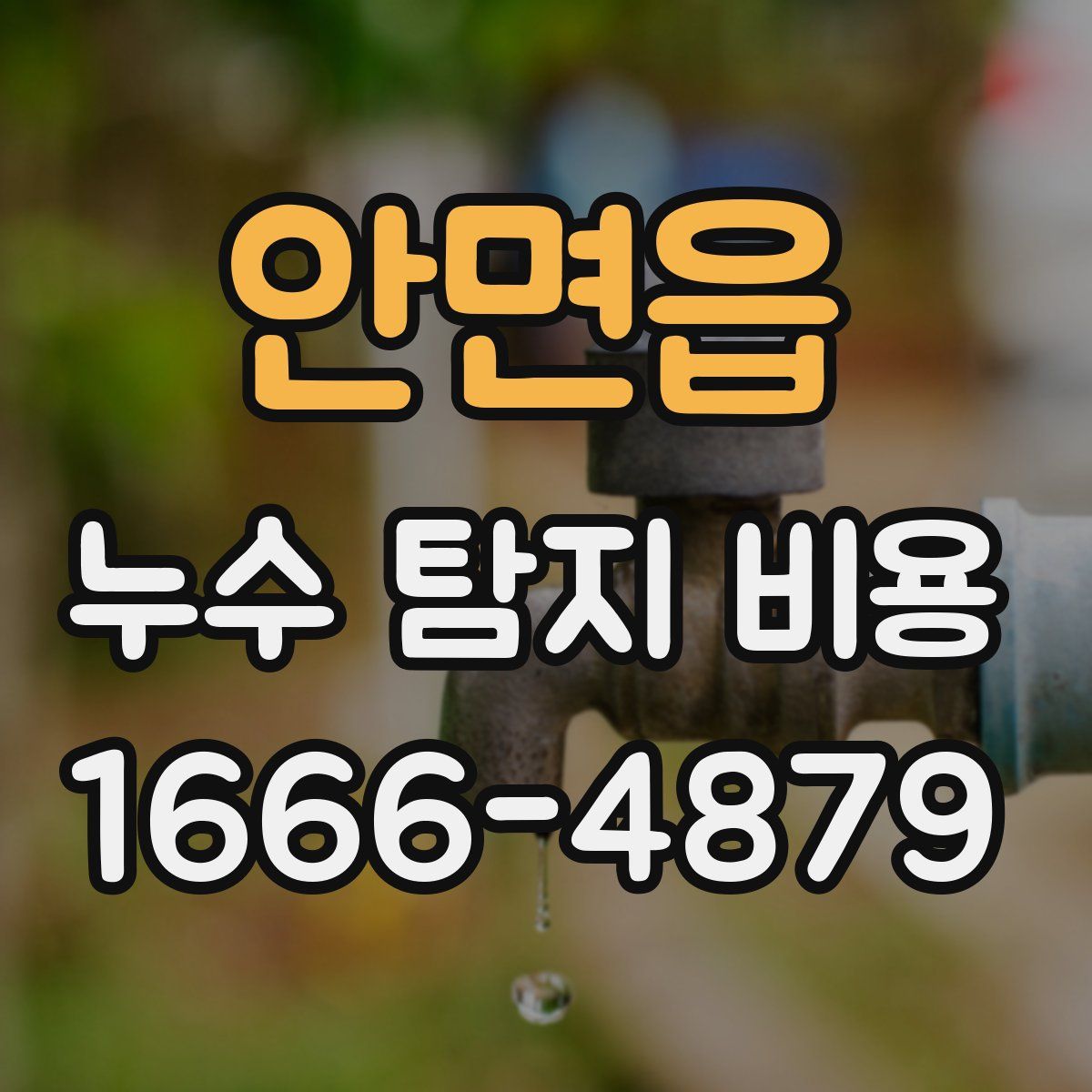 안면읍 누수 탐지 비용