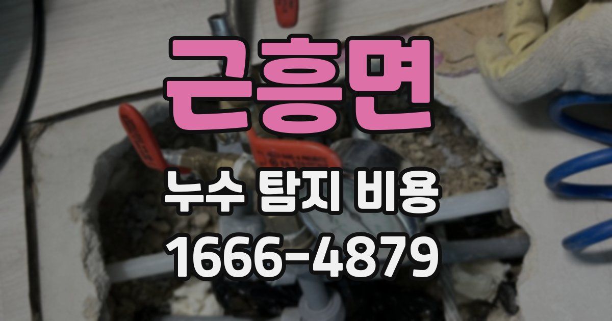 근흥면 누수 탐지 비용