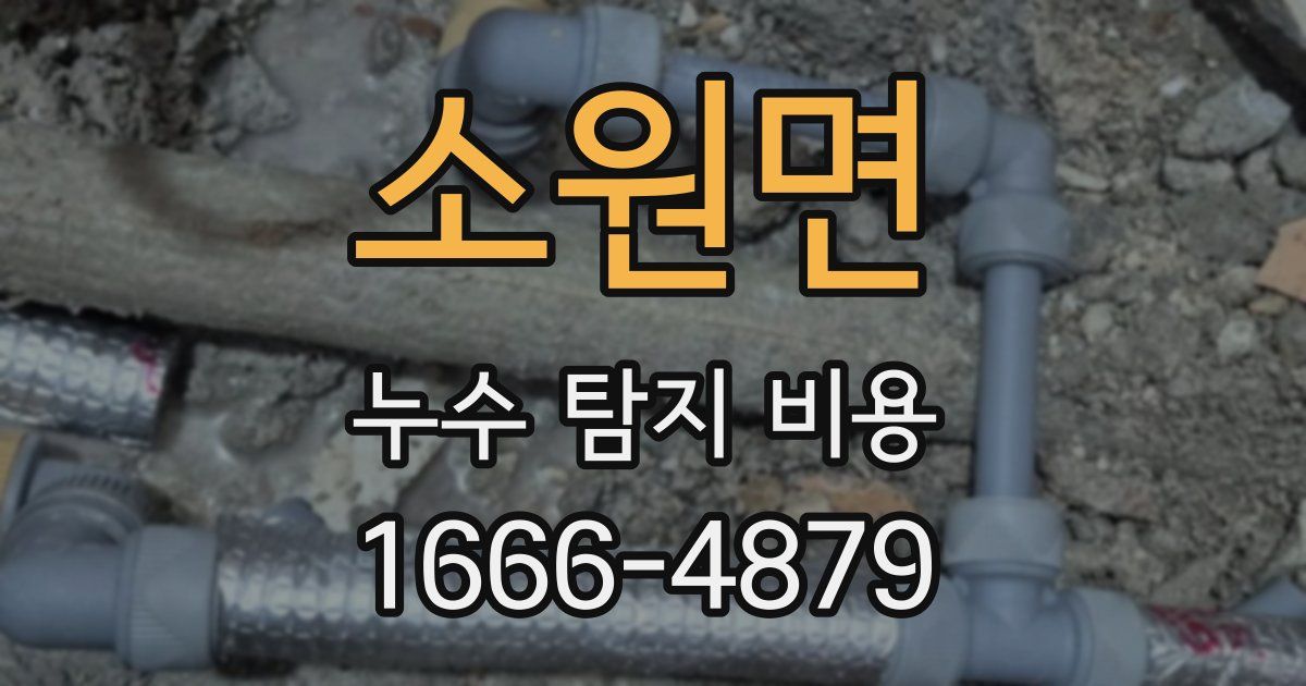 소원면 누수 탐지 비용